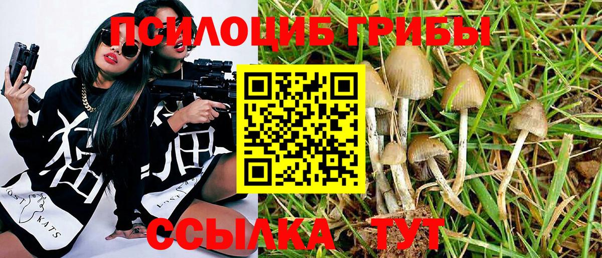 Псилоцибиновые грибы мухоморы Краснотурьинск