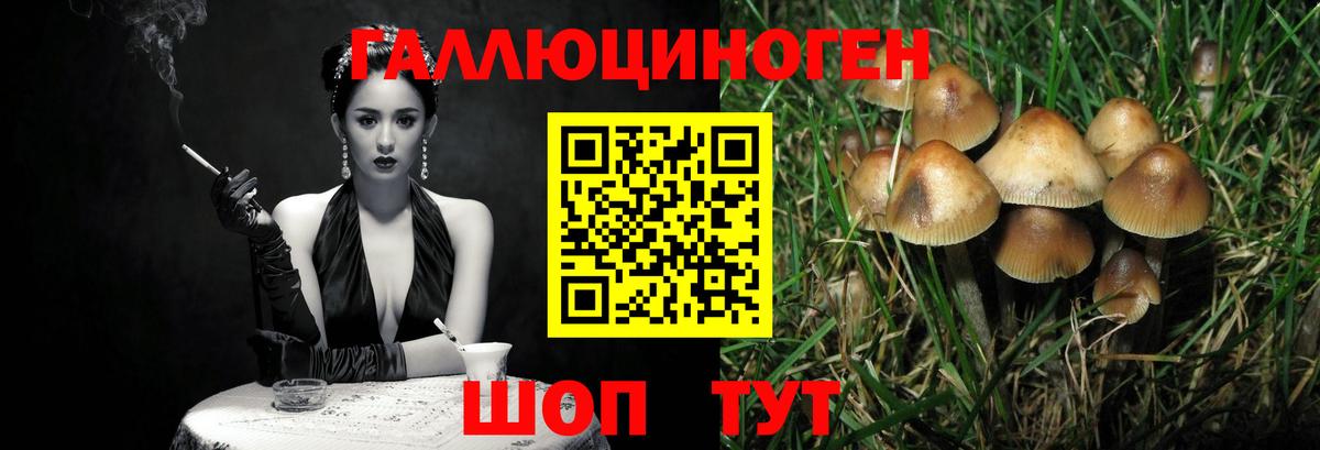 Галлюциногенные грибы ЛСД  Вход с VPN  Краснотурьинск 
